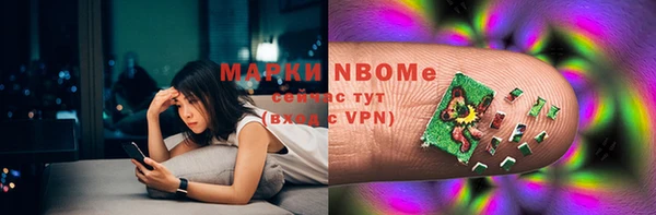шишки Михайловск