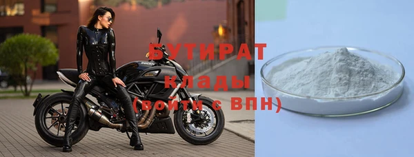 шишки Михайловск