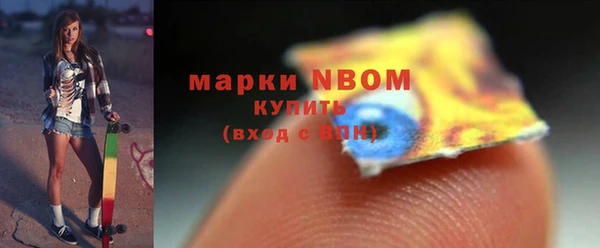 шишки Михайловск