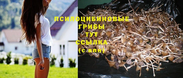 гашишное масло Михайлов