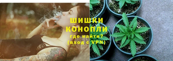 шишки Михайловск