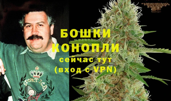 шишки Михайловск