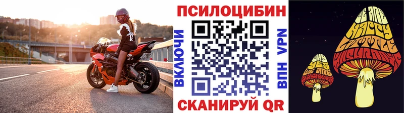дарнет шоп Юрга Галлюциногенные грибы GOLDEN TEACHER