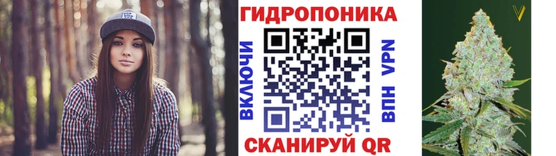Марихуана сатива  Юрга 